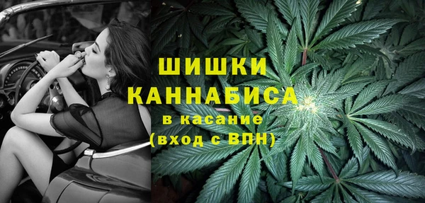 амф Белокуриха