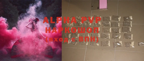 амф Белокуриха