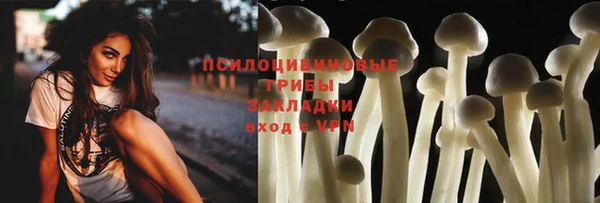 спиды Белоозёрский