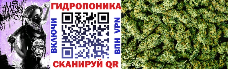 Каннабис Amnesia  как найти наркотики  блэк спрут ONION  Торопец 